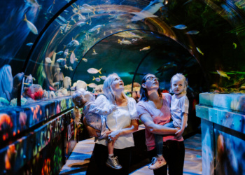 SEA LIFE Brighton: 150 Years of Fin-tastic Fun SEA LIFE Brighton: 150 Years of Fin-tastic Fun