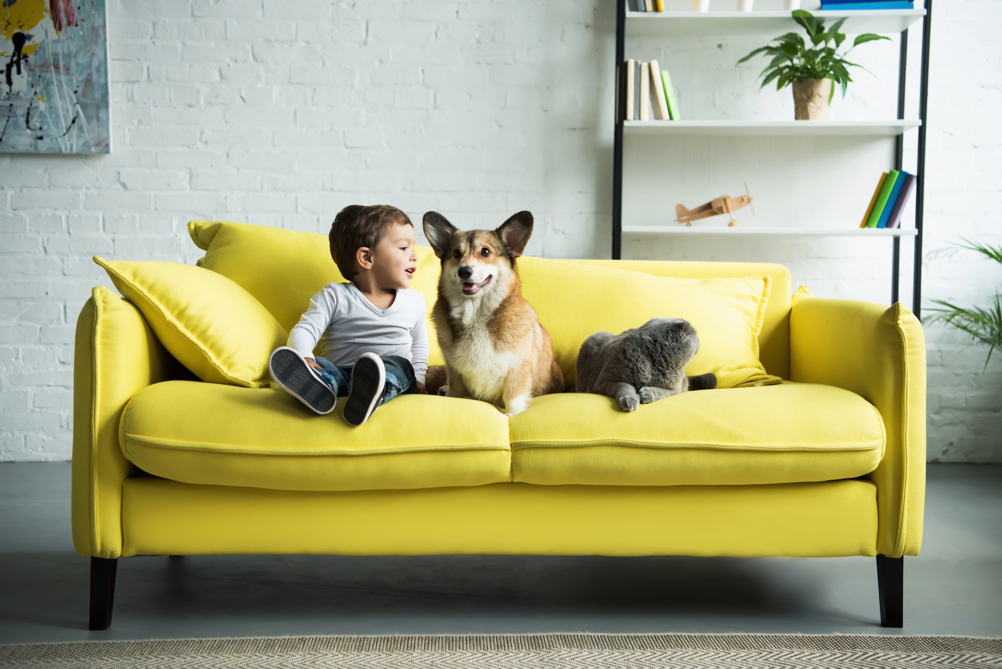 Grow Your Childs Emotional Intelligence