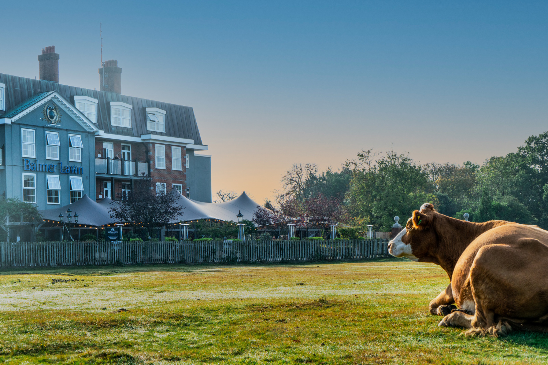 Balmer Lawn Hotel & Spa Balmer Lawn Hotel & Spa