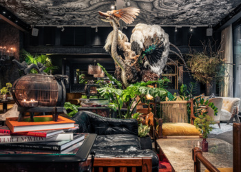 YOPO & The Mandrake YOPO & The Mandrake