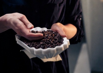 How To Make The Perfect Cup of Coffee For You How To Make The Perfect Cup of Coffee For You