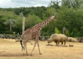 Colchester Zoo