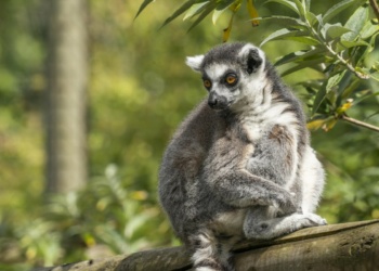 Paradise Wildlife Park Paradise Wildlife Park