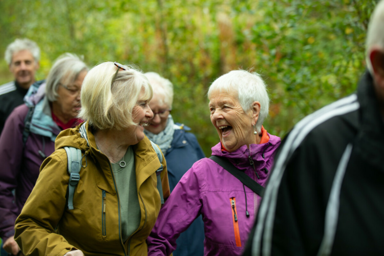 Health & Wellbeing Benefits of Walking