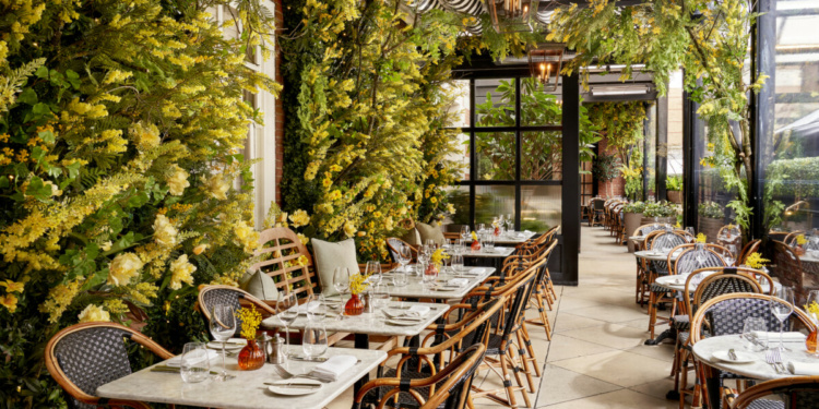 Dalloway Terrace: Sophisticated Dining in Bloomsbury