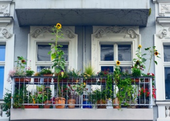 How To Make the Perfect Balcony Garden How To Make the Perfect Balcony Garden