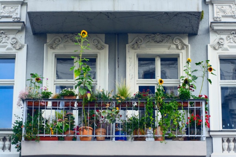 How To Make the Perfect Balcony Garden