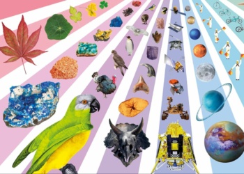 Minipreneur Children’s Book Review: DK Minipreneur Children’s Book Review: DK