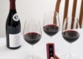 The Science of Perfect Wine Aeration: How to Unlock Every Glass’s True Potential