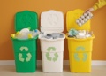 Beyond the Bin: A Seven-Step Approach to Recycling