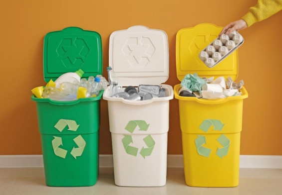 Beyond the Bin: A Seven-Step Approach to Recycling