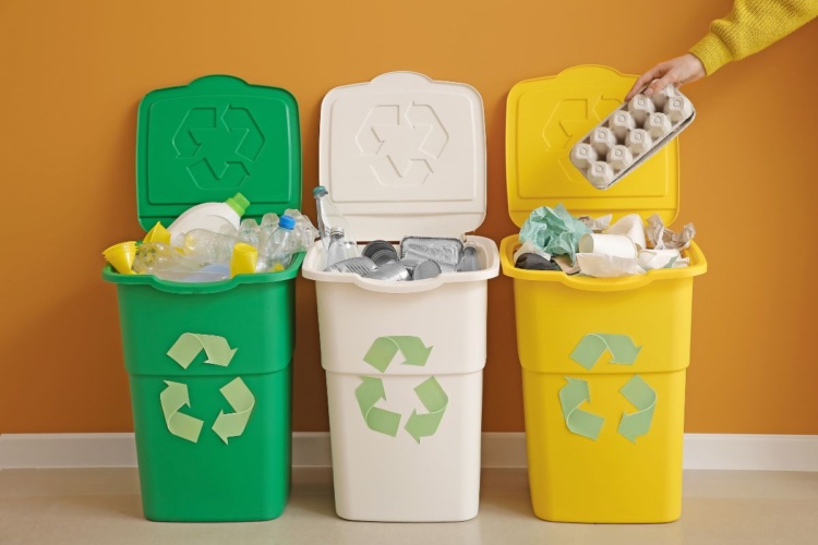 Beyond the Bin: A Seven-Step Approach to Recycling Beyond the Bin: A Seven-Step Approach to Recycling