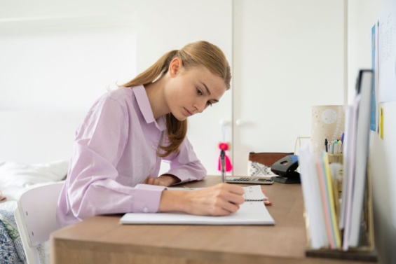 Minipreneur Education: Collins GCSE Revision Guides